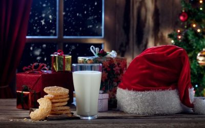 Christmas Newsletter 2020